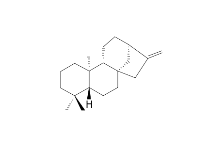 ent-kaurene