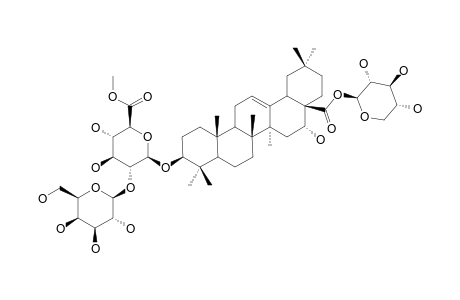 TRAGOPOGONOSIDE-C;3-O-BETA-[GALACTOPYRANOSYL-(1->2)-(6-O-METHYL)-GLUCURONOPYRANOSYL]-ECHINOCYSTIC-ACID-28-O-[XYLOPYRANOSYL]-ESTER