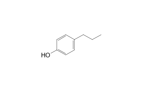 4-Propylphenol