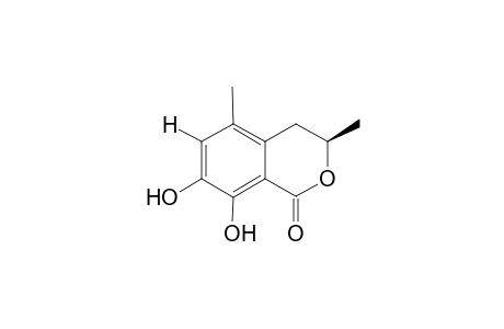 (3-R)-7-HYDROXY-5-METHYLMELLEIN