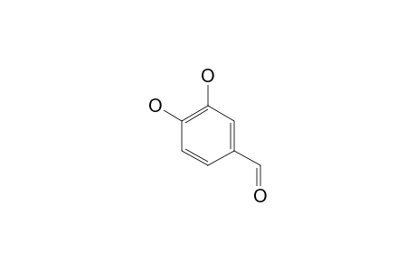 Protocatechualdehyde