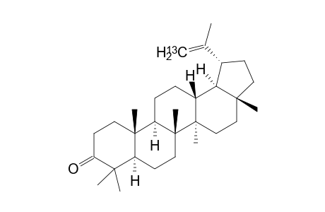 [29-13C]-Lupenone