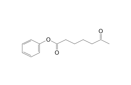 Heptanoic acid, 6-oxo-, phenyl ester