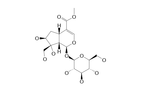 GENAMESIDE-B