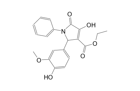 4-Hydroxy-2-(4-hydroxy-3-methoxy-phenyl)-5-oxo-1-phenyl-2,5-dihydro-1H-pyrrole-3-carboxylic acid ethyl ester