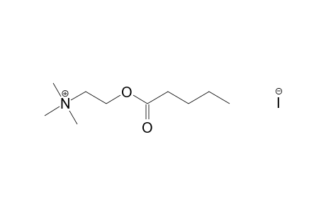 choline iodide, valerate