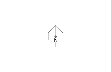 1-Methyl-1-azonia-bicyclo(2.2.1)heptane cation