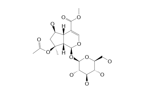 BARLERIN;8-O-ACETYLSHANZHISIDE-METHYLESTER