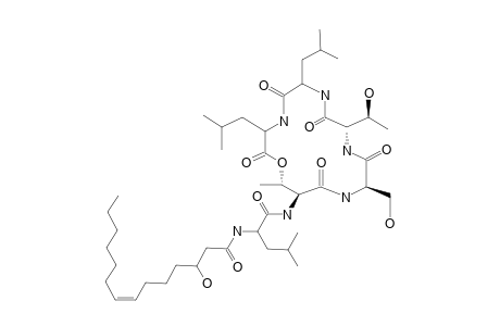 NGERCHEUMICIN-F