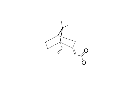 (-)-[1S,4R,2(2')E]-1-VINYL-7,7-DIMETHYL-2-CARBOXYMETHYLENE-BICYCLO-[2.2.1]-HEPTANE