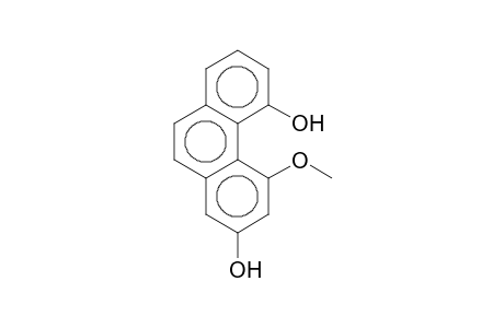 MOSCATIN