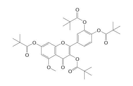 5-O-Methyl-3,3',4',7-tetrapivaloyl-Quercetin