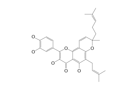 POINSETTIFOLIN-A