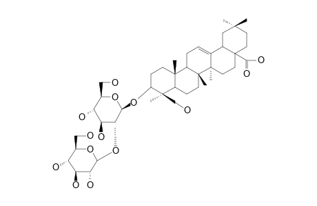 SAPONIN_4