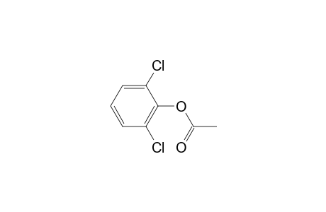 2,6-Dichlorophenyl acetate