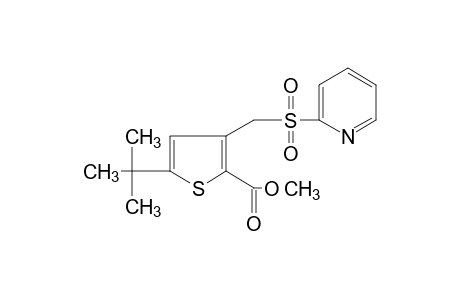 5-tert-butyl-3-{[(2-pyridyl)sulfonyl]methyl}-2-thiophenecarboxylic acid, methyl ester