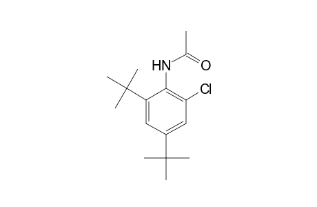 2'-chloro-4',6'-di-tert-butylacetanilide