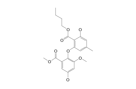 N-BUTYL_ASTERRATE