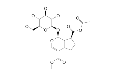 11-METHYL-FORSYTHIDE-ACETATE