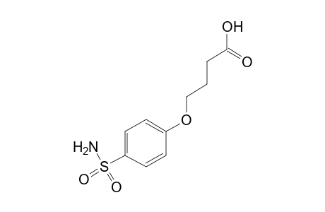 4-(p-SULFAMOYLPHENOXY)BUTYRIC ACID