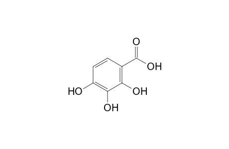 2,3,4-Trihydroxybenzoic acid