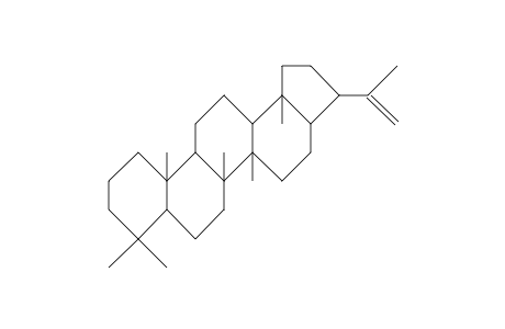 A'-Neogammacer-22(29)-ene