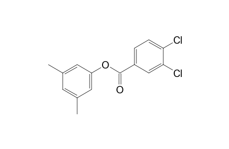 3,5-xylenol, 3,4-dichlorobenzoate