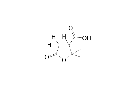 2,2-Dimethyl-5-oxotetrahydro-3-furoic acid