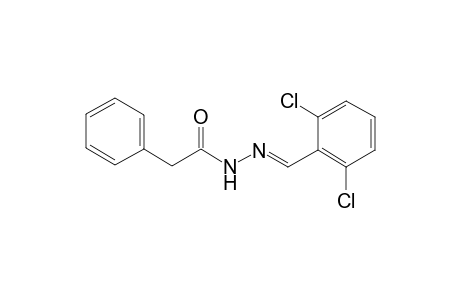 N'-[(E)-(2,6-Dichlorophenyl)methylidene]-2-phenylacetohydrazide