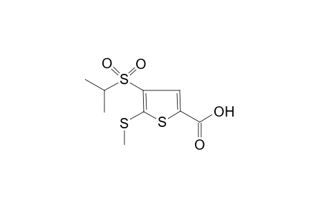 4-(Isopropylsulfonyl)-5-(methylthio)thiophene-2-carboxylic acid