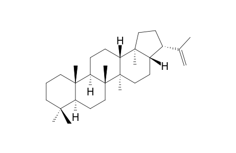 Hop-22(29)-ene