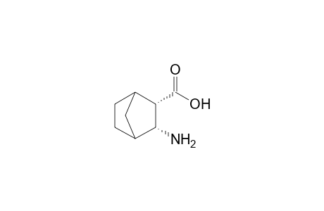 (2S,3R)-3-amino-2-bicyclo[2.2.1]heptanecarboxylic acid