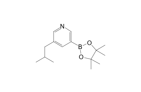 3-Isobutyl-5-(4,4,5,5-tetramethyl-1,3,2-dioxaborolan-2-yl)pyridine