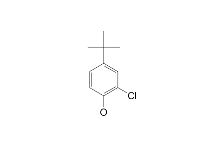 4-tert-Butyl-2-chlorophenol