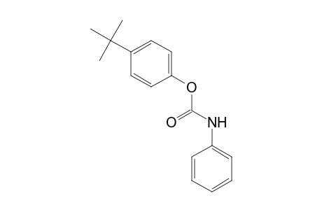 carbanilic acid, p-tert-butylphenyl ester