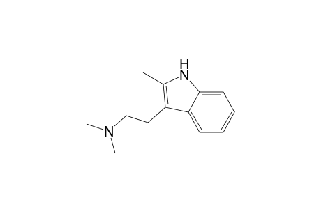 2-Me-DMT