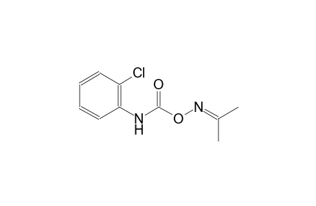 acetone, O-[(o-chlorophenyl)carbamoyl]oxime