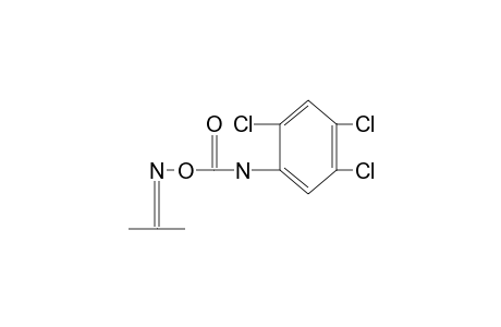 acetone, O-[(2,4,5-trichlorophenyl)carbamoyl]oxime