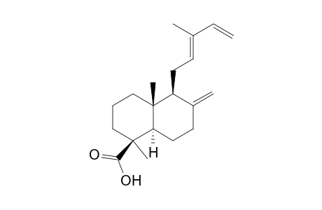 (E)-COMMUNIC-ACID