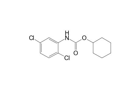 2,5-dichlorocarbanilic acid, cyclohexyl ester