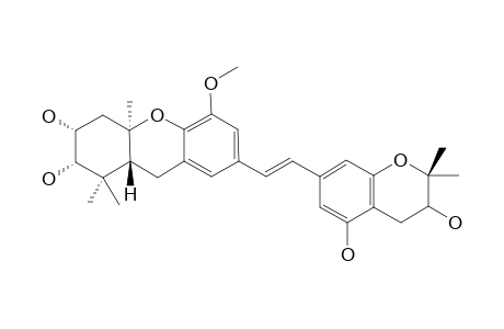 SCHWEINFURTHIN_H