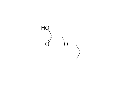 isobutoxyacetic acid