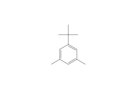 5-tert-Butyl-m-xylene