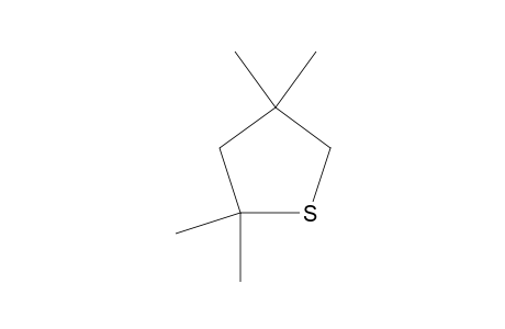 2,2,4,4-Tetramethyl-thiolane