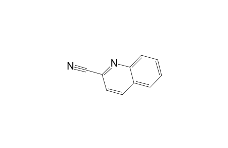 quinaldonitrile