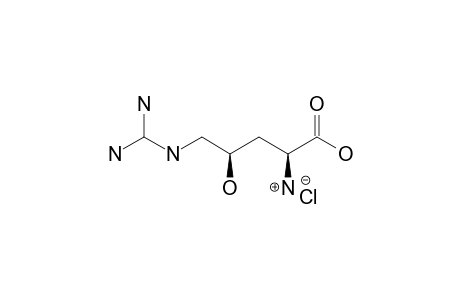 ERYTHRO-GAMMA-HYDROXYARGININE-HYDROCHLORIDE;2(S),4(R)-4-HYDROXYARGININE-HYDROCHLORIDE