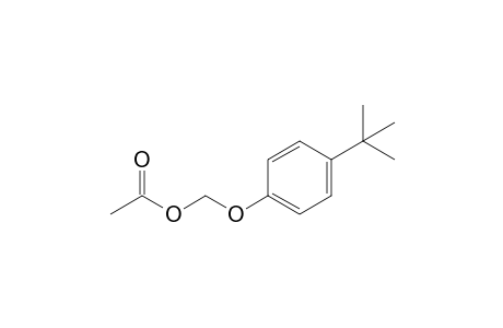 Methanol, [4-(1,1-dimethylethyl)phenoxy]-, acetate