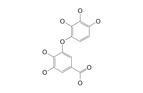 8A-DECARBOXY-DEHYDRO-DIGALLIC-ACID