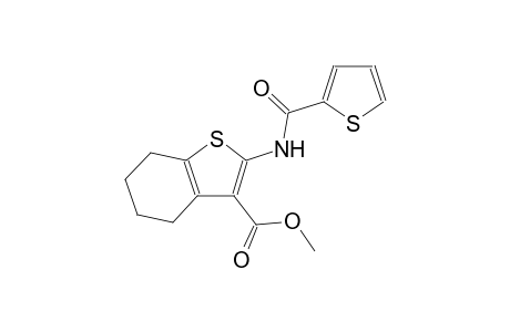 methyl 2-[(2-thienylcarbonyl)amino]-4,5,6,7-tetrahydro-1-benzothiophene-3-carboxylate