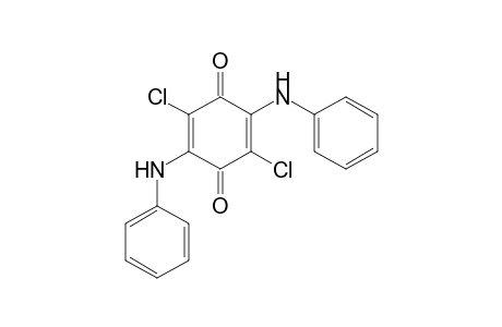 2,5-DIANILINO-3,6-DICHLORO-p-BENZOQUINONE